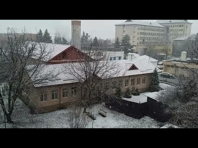 (VIDEO) Ninge abundent la Târgu Jiu