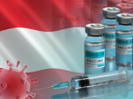 Austria, prima ţară din UE care adoptă vaccinarea obligatorie a adulţilor