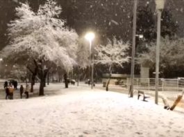 Furtună de zăpadă în Israel