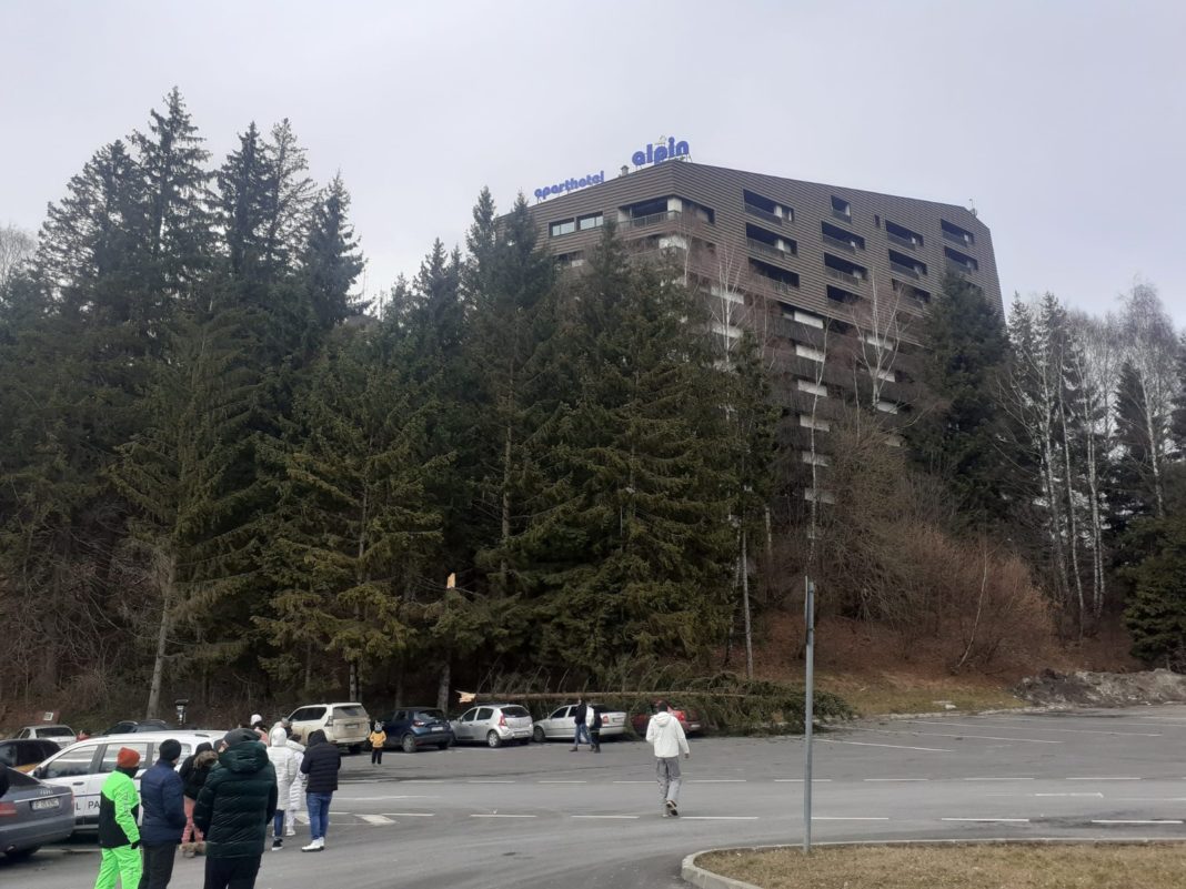 Brad prăbuşit peste trei maşini staţionate în cea mai mare parcare din Poiana Brașov