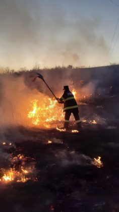 Cele 17 incendii izbucnite la vegetaţie uscată au cuprins peste 70 de hectare de teren, pe raza a 13 unități administrativ teritoriale: