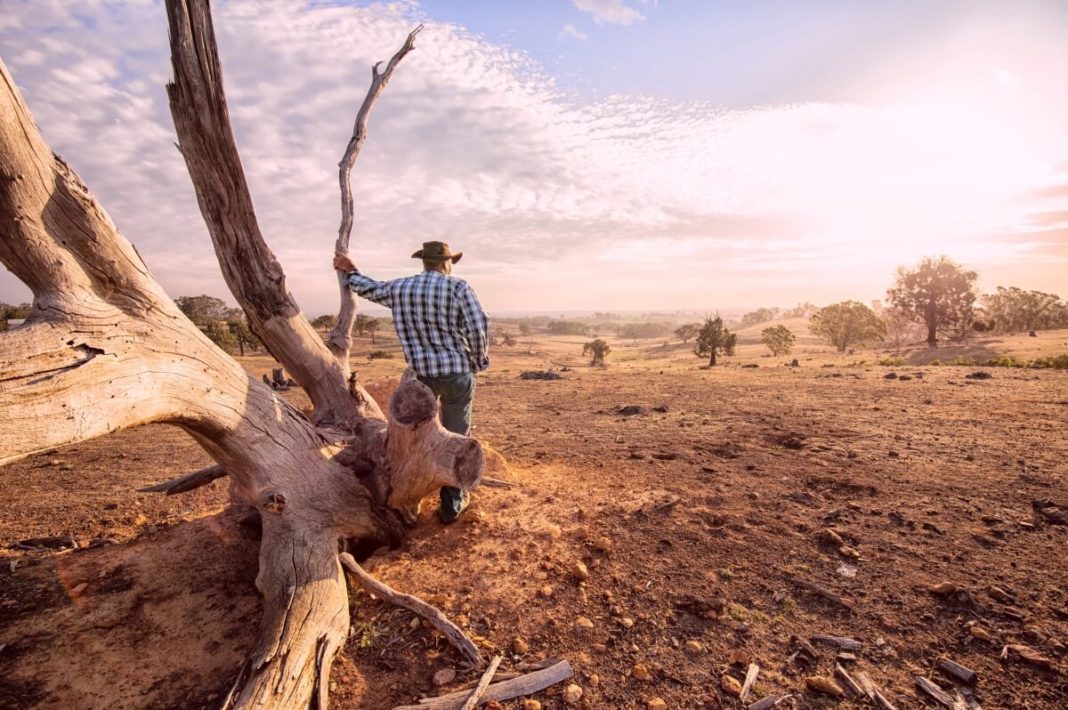 50,7 grade Celsius - Temperatură record în Australia