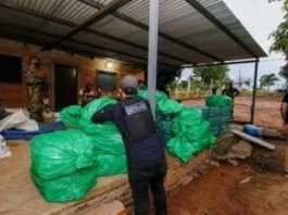 Poliţia din Paraguay a confiscat 1 tonă de cocaină importată de fiul unui fost deputat