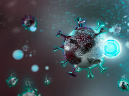 Cercetătorii au aflat în câte minute SARS-CoV-2 își pierde 90% din infecțiozitate
