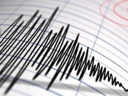 Cutremur cu magnitudinea de 4 în Vrancea