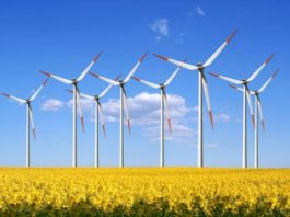 Turbinele eoliene din România produc energie cât trei reactoare nucleare, luni după-amiaza