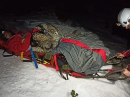 Un câine a salvat viaţa unui excursionist rănit, stând 13 ore pe el ca să-l încălzească