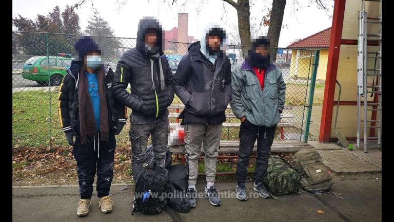 (VIDEO) Opt migranţi ascunși în TIR-uri, depistaţi la Nădlac