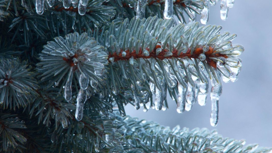 -23 de grade, cea mai scăzută temperatură înregistră joi în România