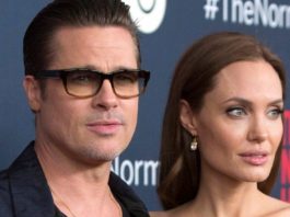 Brad Pitt o dă în judecată pe Angelina Jolie. Podgoria Chateau Miraval, vândută fără acordul actorului