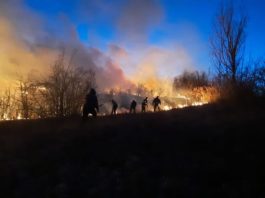 Pompierii militari vâlceni au mai fost solicitați pentru stingerea altor 4 incendii de vegetație uscată