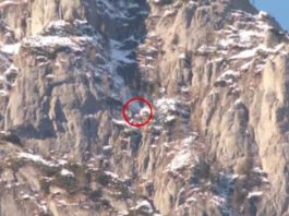 Trupul alpinistei moarte de ziua ei în Munţii Bucegi, recuperat după trei săptămâni