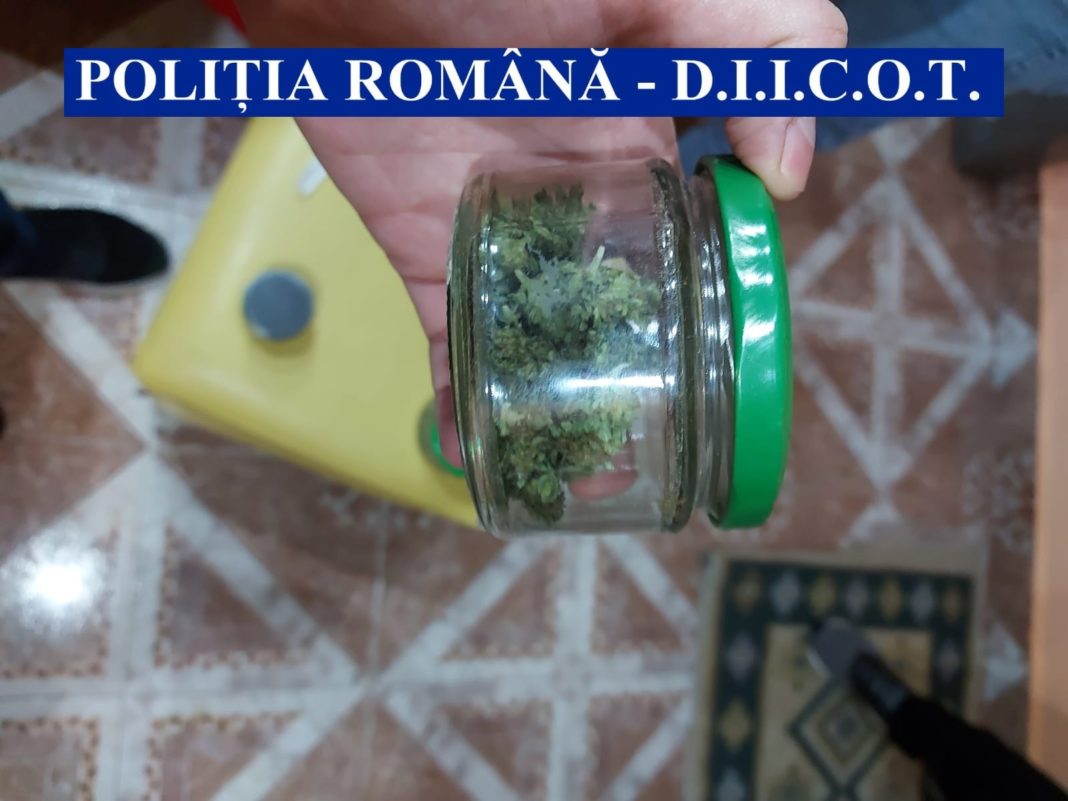 În cursul anului 2021, bărbatul reținut ar fi înființat, întreținut și recoltat o cultură de cannabis de aproximativ 200 de plante