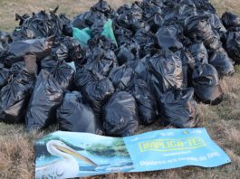 Peste 17.000 de tone de plastic sunt generate anual în județul Dolj. Fiecare locuitor aruncă anual aproximativ 24 de kilograme de plastic