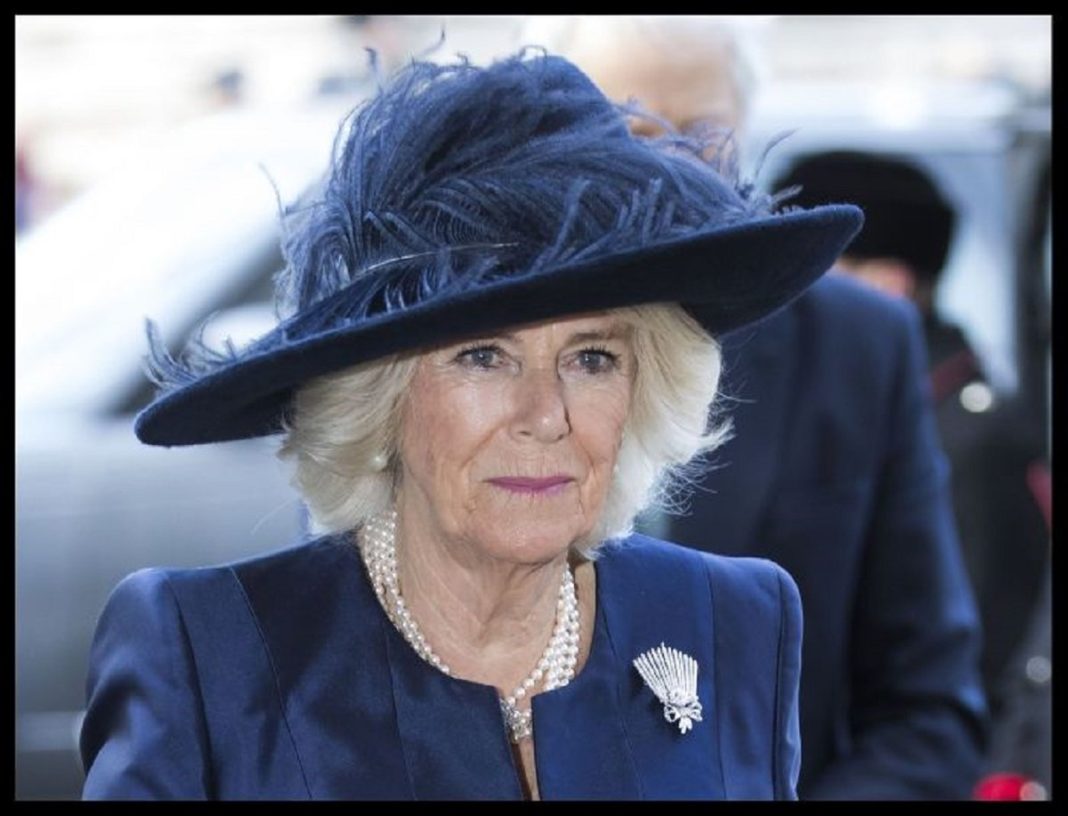 Camilla, ducesa de Cornwall, s-a infectat cu SARS-CoV-2