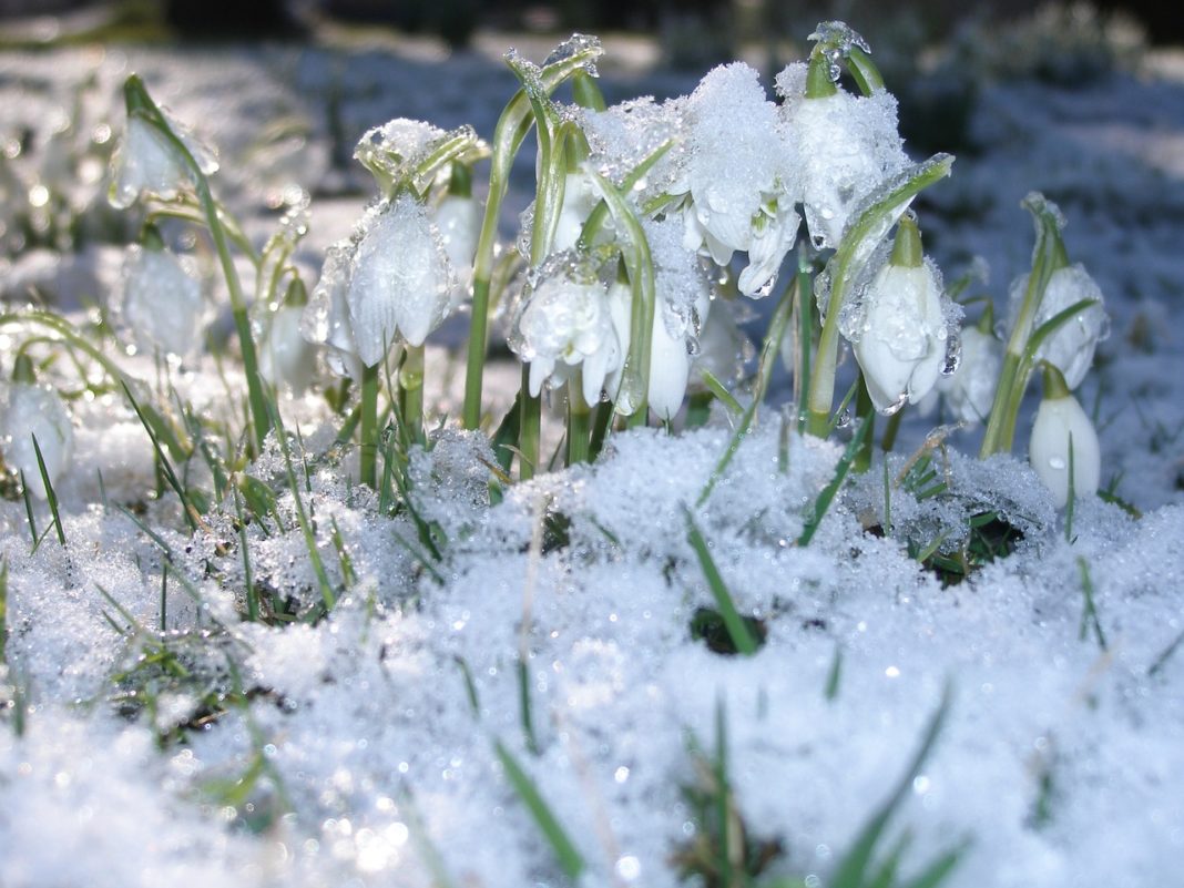 Urmează câteva zile cu temperaturi scăzute, după care vremea se încălzește