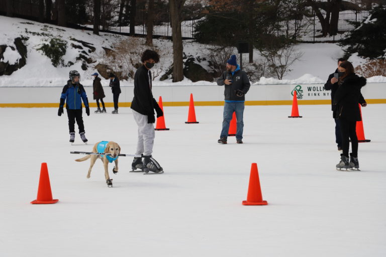 (VIDEO) Câinele patinator din New York