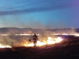 Gorj: Incendii de vegetație uscată în mai multe localități