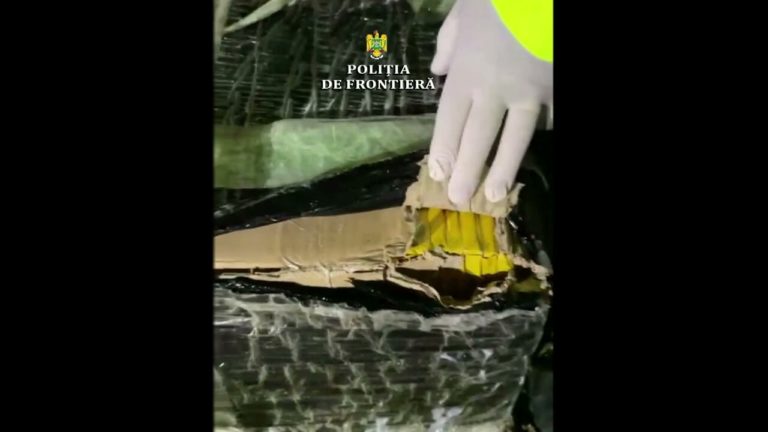 (VIDEO) Ţigarete de contrabandă, de peste 68.000 de lei, descoperite în cimitir