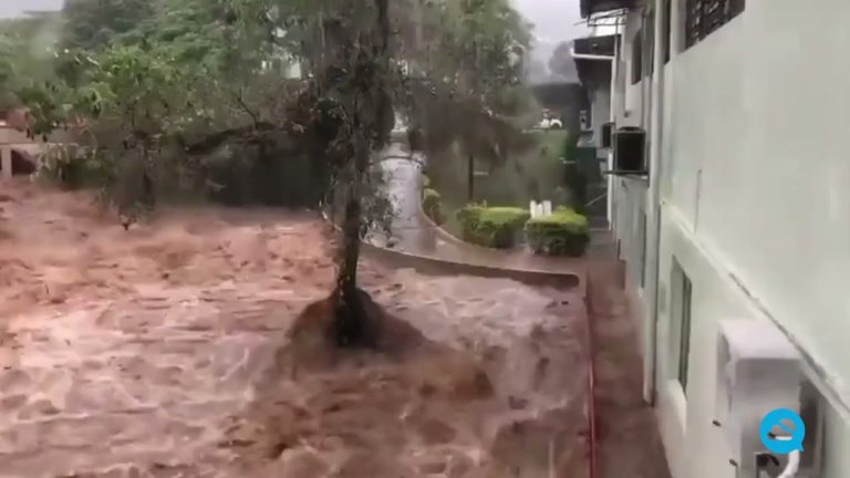 (VIDEO) 186 de morţi, după furtunile violente din Brazilia