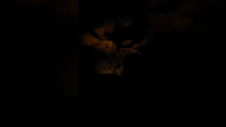 (VIDEO) O puternică explozie ar fi aprins un depozit de combustibil de lângă Kiev