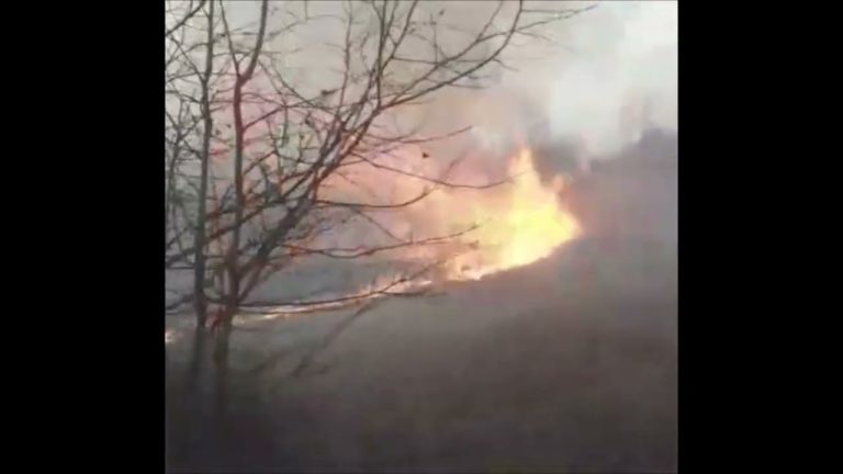 (VIDEO) Incendii de pădure și vegetație uscată în Vâlcea