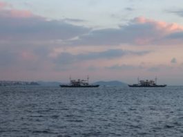 Turcia spune că nu poate opri navele de război rusești care intră în Marea Neagră, aşa cum cere Ucraina