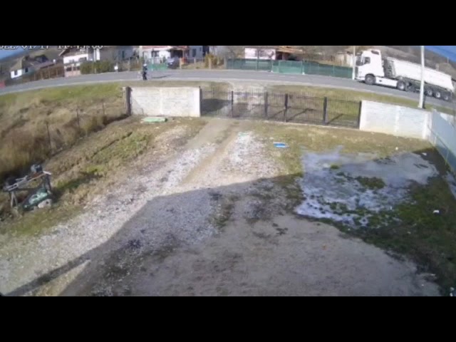 (VIDEO) Identificat de poliţişti după ce a abandonat doi pui de câine