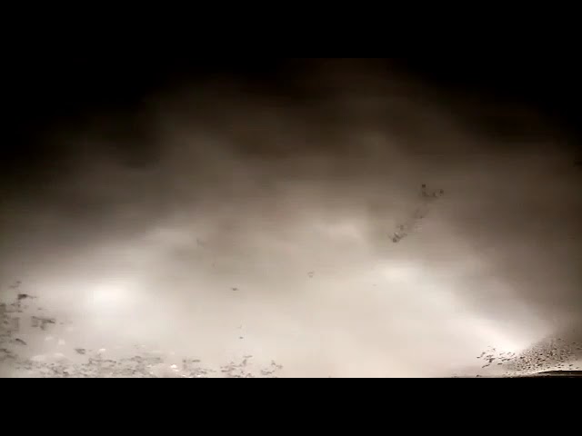 (VIDEO) Gorj: Transalpina, închisă din cauza viscolului