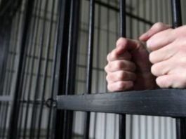 Tânăr condamnat pentru trafic de droguri, încarcerat în Penitenciarul Târgu Jiu