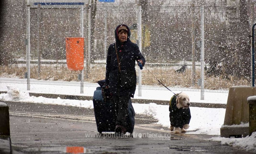 De la declanşarea acestei crize, până la data de 17.03.2022, ora 24.00, la nivel naţional, au intrat în România 469.284 cetăţeni ucraineni