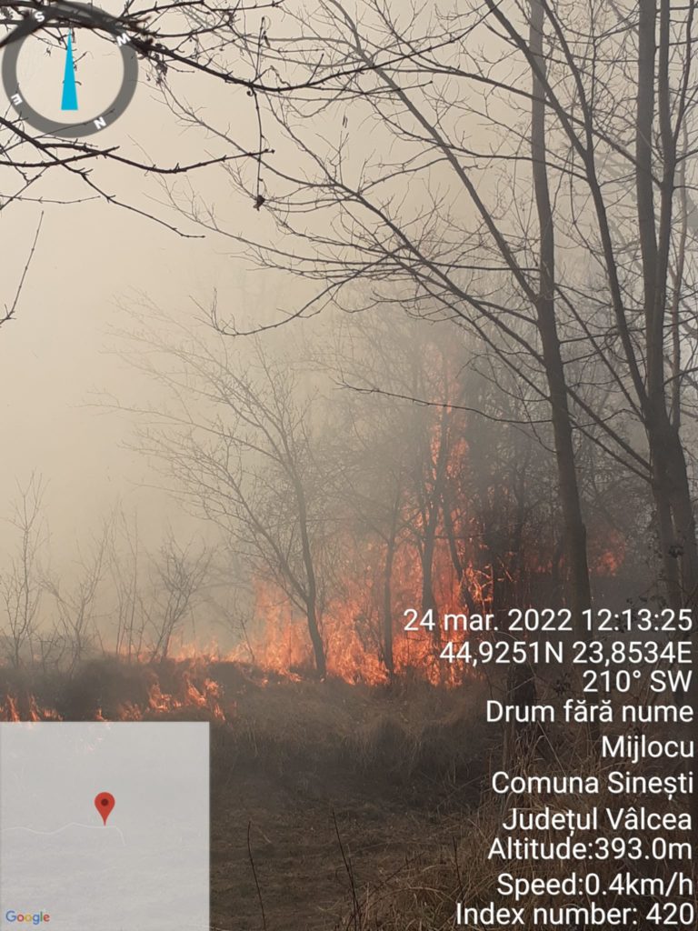 (VIDEO)Vâlcea: 1200 de hectare de vegetaţie au ars de la începutul săptămânii