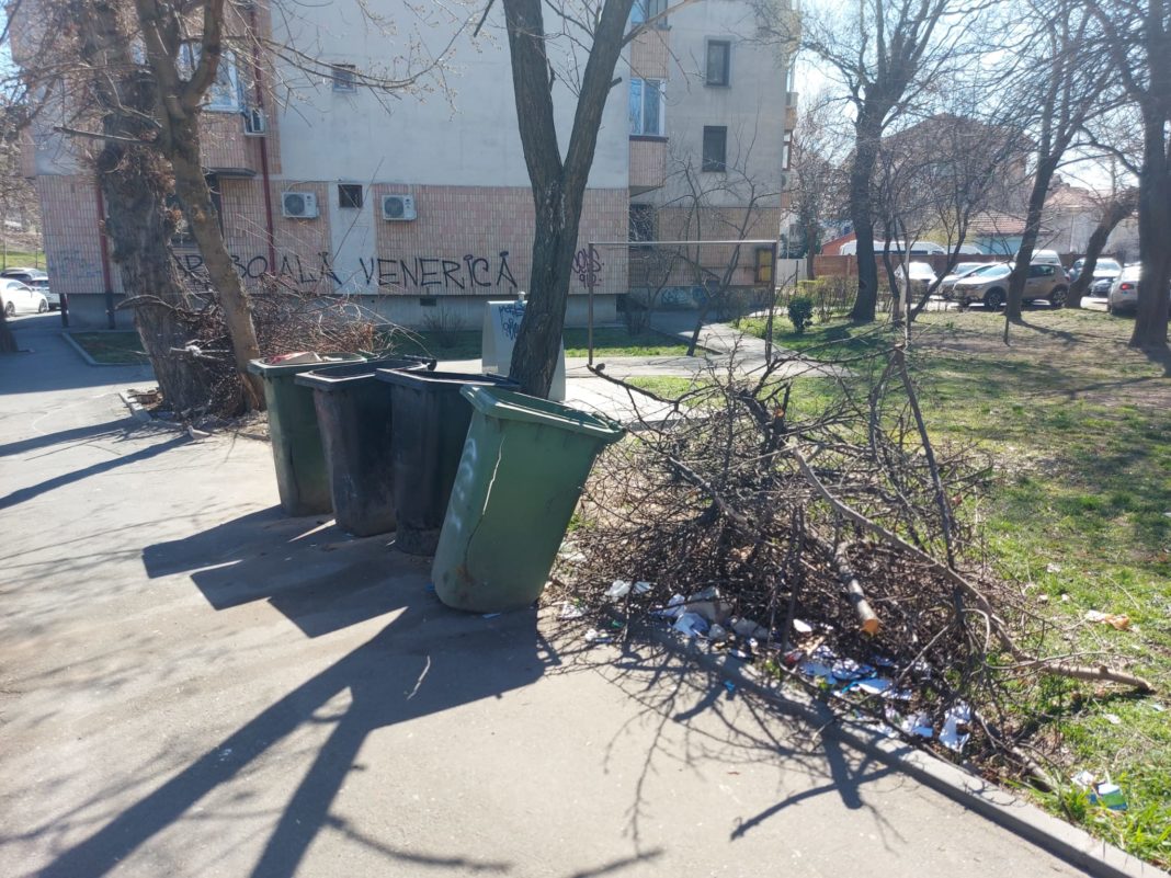 Deşeuirle vegetale stau aruncate la colţ de stradă/foto Claudiu Tudor