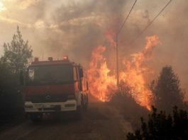 Incendiu forestier izbucnit pe insula grecească Samos, „scăpat de sub control''