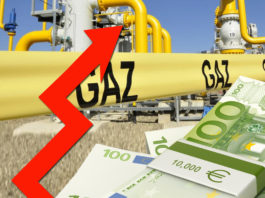 Germania apreciază ca o „rupere de contract“ solicitarea Rusiei de a i se plăti în ruble gazele livrate