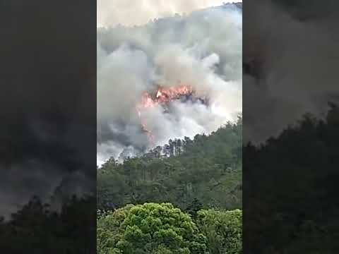 (VIDEO) Un avion cu 133 de persoane la bord s-a prăbușit în sudul Chinei