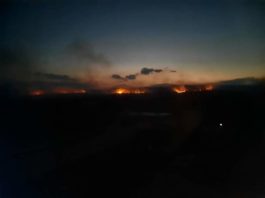 Incendii pe suprafețe însemnate în pădurile din Turcinești