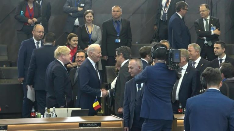 La summitul NATO, președintele Ucrainei cere ajutor militar nelimitat