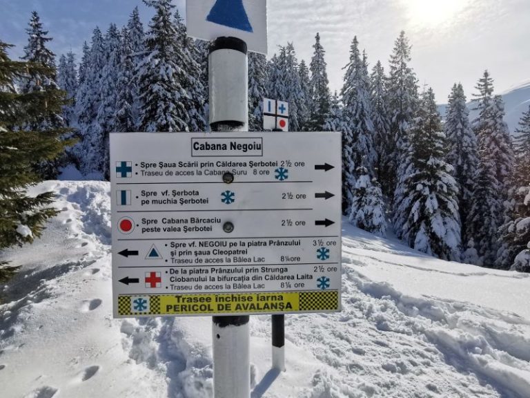 Doi schiori au fost prinși de o avalanșă în munții Făgăraș, în zona Piscul Serbotei