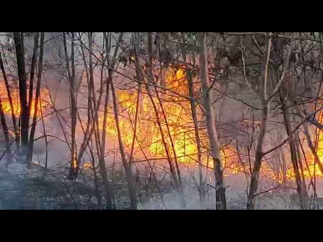 (VIDEO) Gorj: 339 de incendii de vegetație uscată de la începutul anului și până în prezent