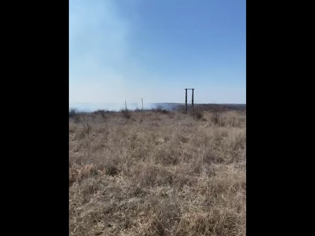 (VIDEO) 20 de hectare de litieră ard la Brădești