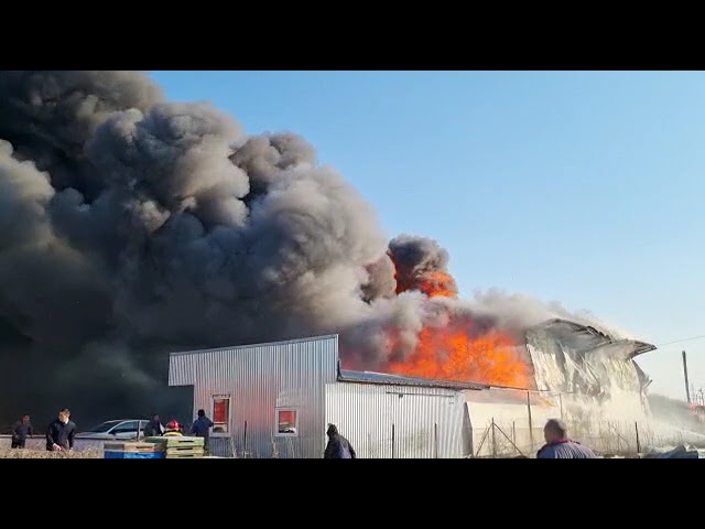 Incendiu puternic la o hală de mase plastice din Işalniţa
