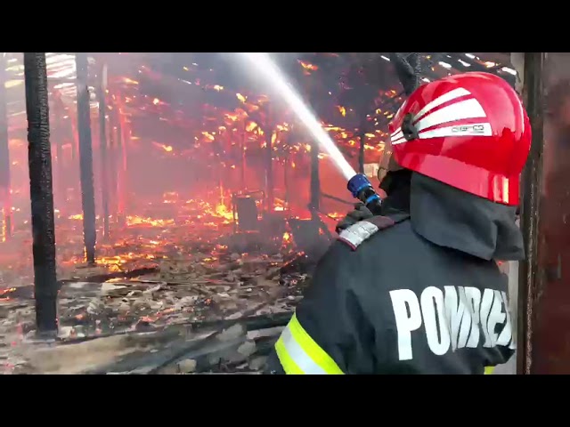 (VIDEO) Adăpost de animale mistuit de flăcări în Șimnicu de Sus