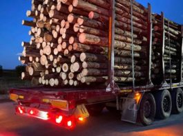 Emiterea de avize de transport de lemne de la locul recoltării noaptea, interzisă de guvern