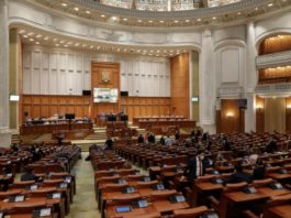 Parlamentul a adoptat proiectul USR prin care a angajaţii din România vor avea acces online la datele proprii din REVISAL