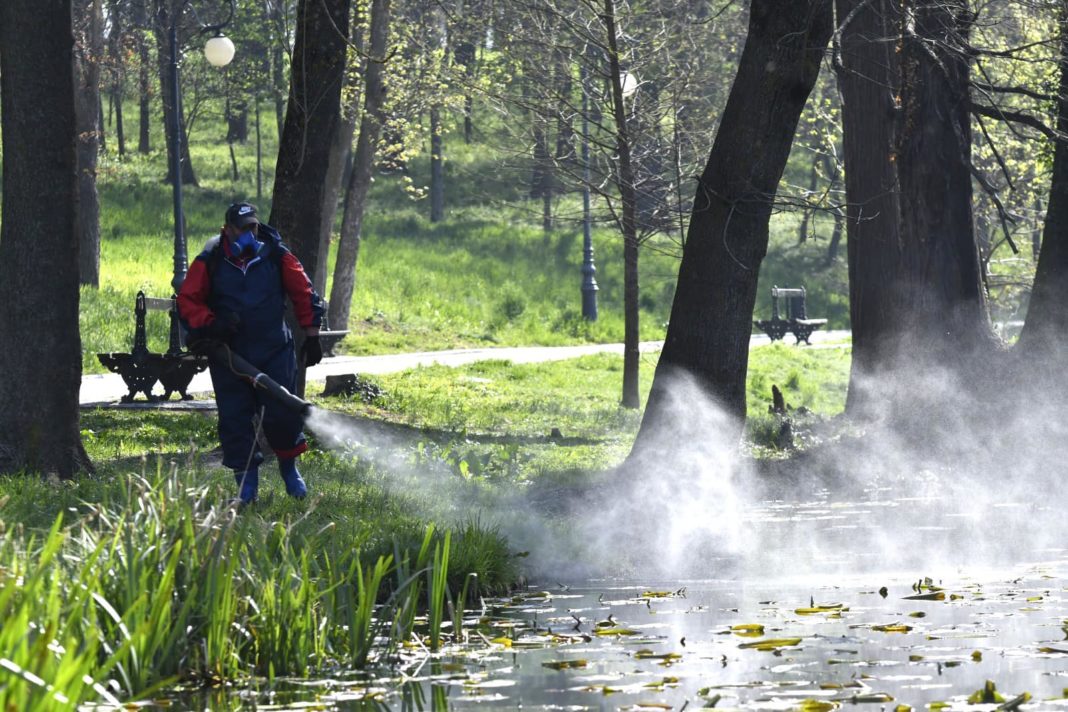 Dezinsecție în Craiova
