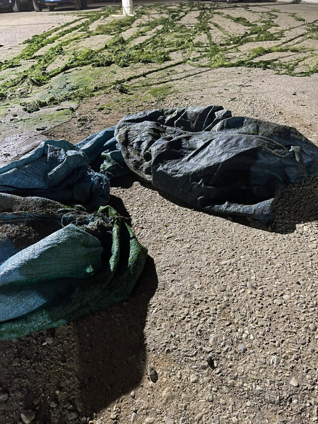 Bunurile au fost ridicate și predate organelor de urmărire penală pentru continuarea verificărilor