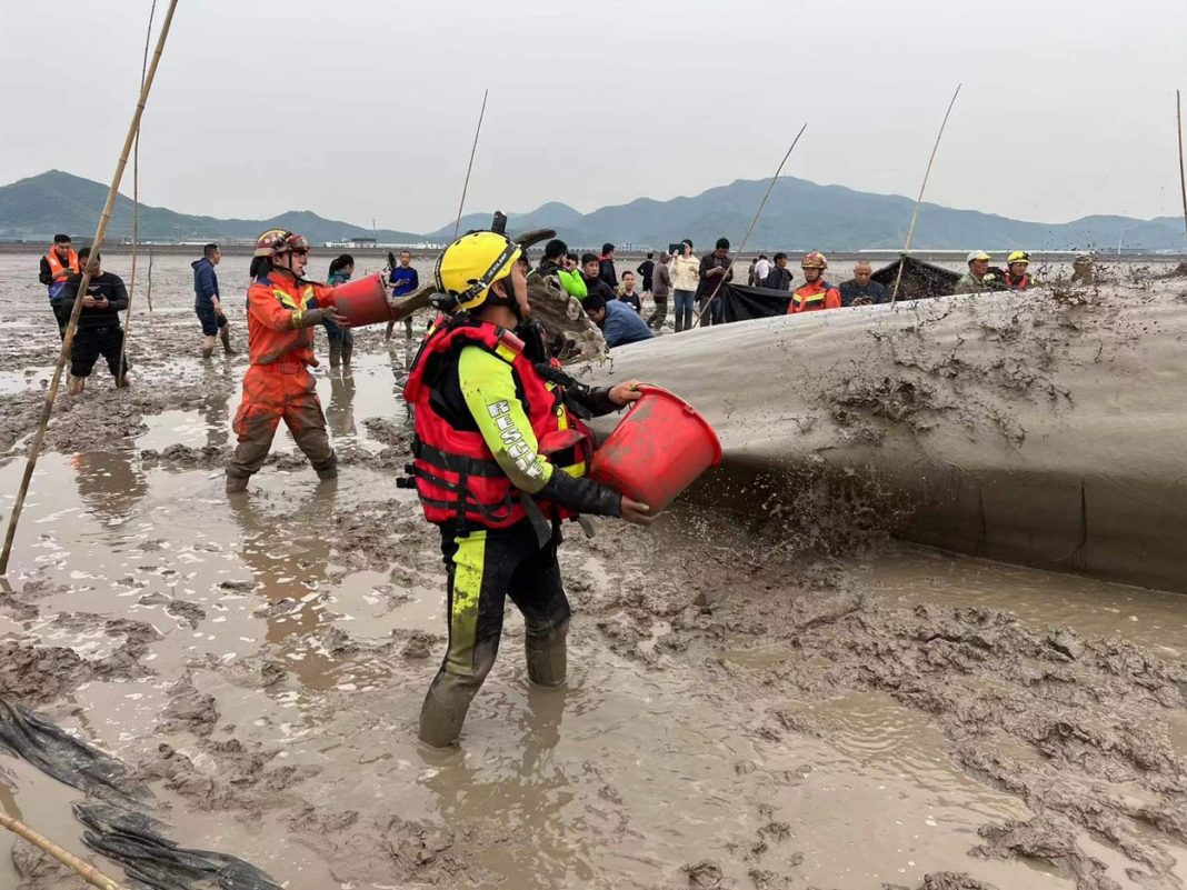 O balenă uriașă, de 70 de tone, a eșuat pe o plajă din China