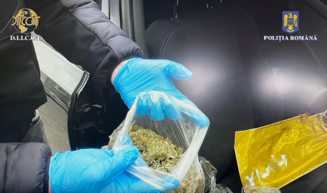 În urma perchezițiilor, au fost confiscate 25 de grame de cocaină, aproximativ 7,2 kilograme de cannabis, 410 comprimate conținând MDMA