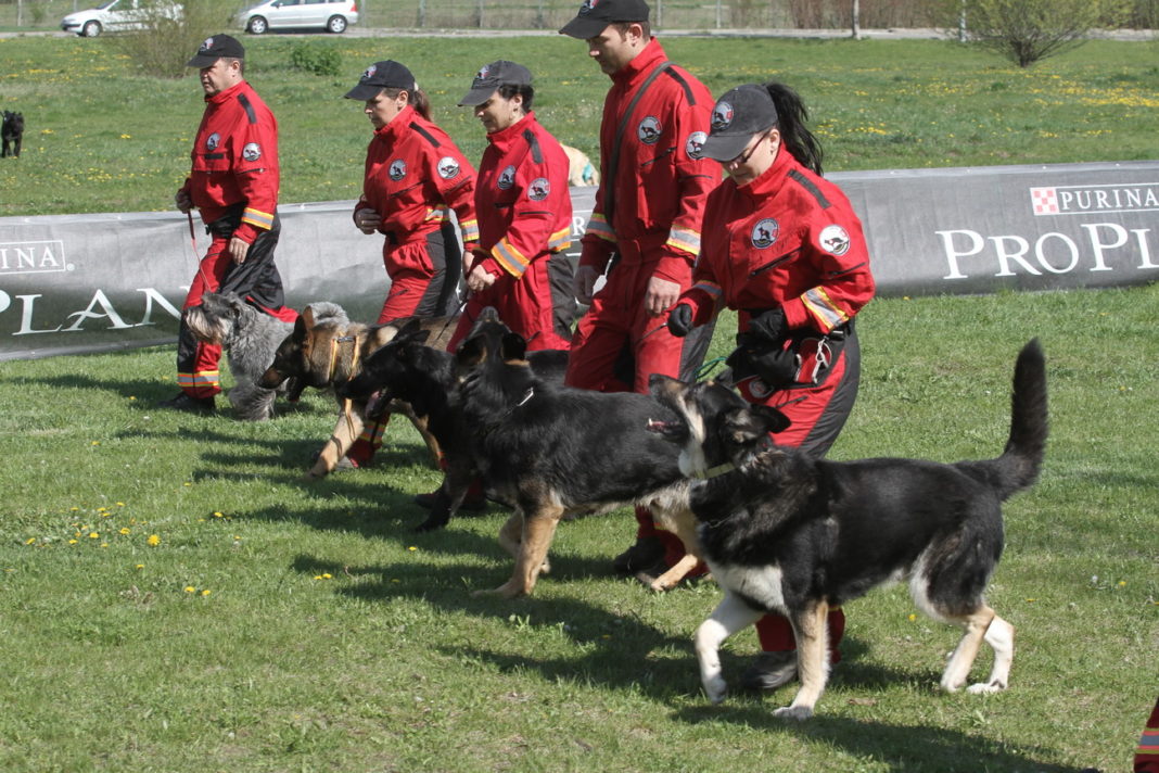Concursul internațional pentru câinii de salvare, la Craiova